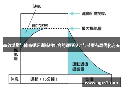 高效燃脂与体育循环训练相结合的课程设计与节奏布局优化方案