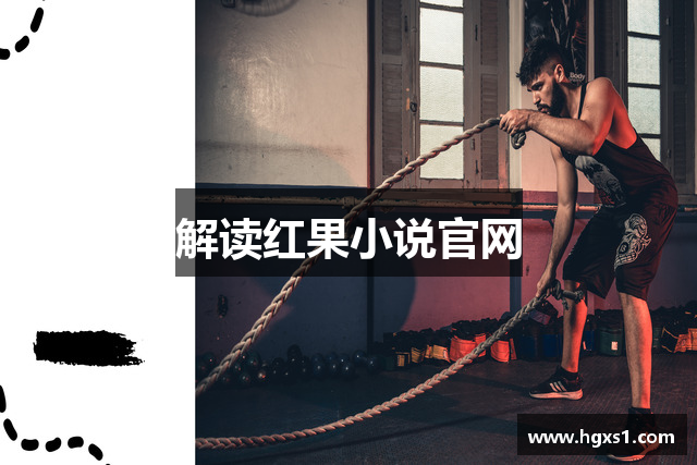 解读红果小说官网